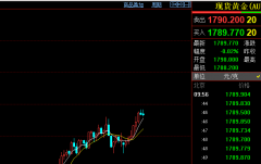 易维哲：黄金注意短线调