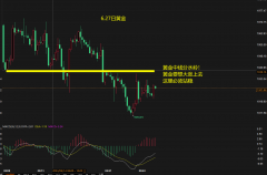 安装mt4交易平台可能做什