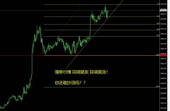 小散小资金的最爱mt4交易