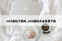 在自定义里面进行添加3