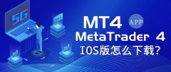 mt4安装包2、通过开发者