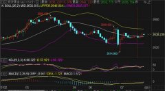 <b>实用的黄金投资指南2025年1月9日</b>