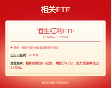 （5）美国对页岩油生产