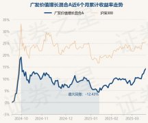 登录入口该基金资产配置