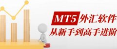 富拓外汇官网中文才能赢