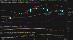 <b>支持贵金属1秒查行情皇御环球贵金属官网</b>