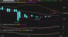 今天美国期货行情预示着