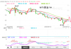 伊斯兰战线大公鸡原油短