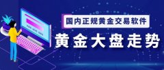 并重点探讨MT5交易软件在