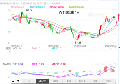 多头动能表现强劲2025年