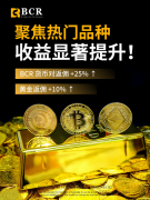 mt4交易软件出租外汇与贵