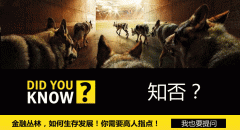 pta期货实时行情道琼斯指