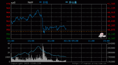 中国黄金交易网铂金实时
